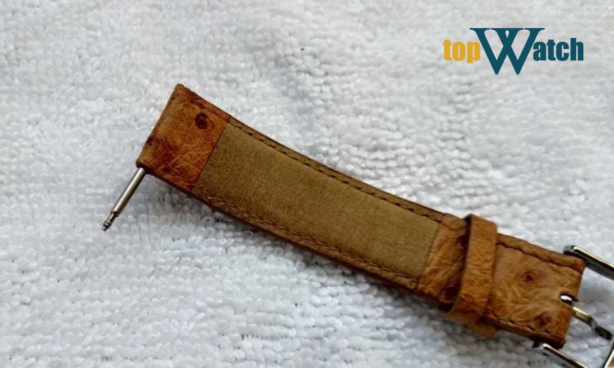 bước 2 thay dây đồng hồ mang tai không có lỗ