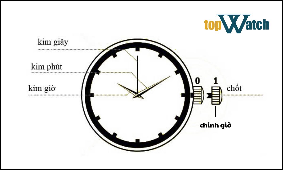 cách chỉnh đồng hồ cơ 2 kim và 3 kim