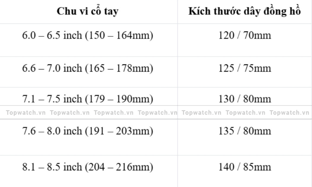 Cách đo size dây và mặt đồng hồ theo kích thước cổ tay cực chuẩn xác bảng kích cỡ dây đeo tương ứng với chu vi cổ tay