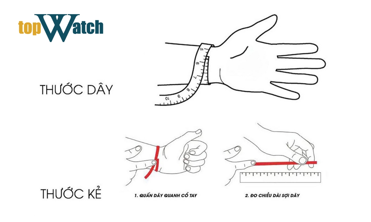 Cách đo size dây và mặt đồng hồ theo kích thước cổ tay cực chuẩn xác cách đo chiều dài dây đeo đồng hồ