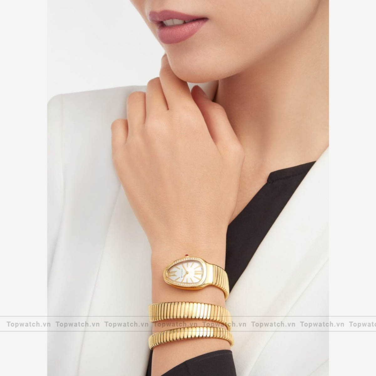 Bvlgari Serpenti Tubogas 101923 Watch 35mm Bvlgari Serpenti Tubogas 101923 Watch 35mm - Ảnh 2