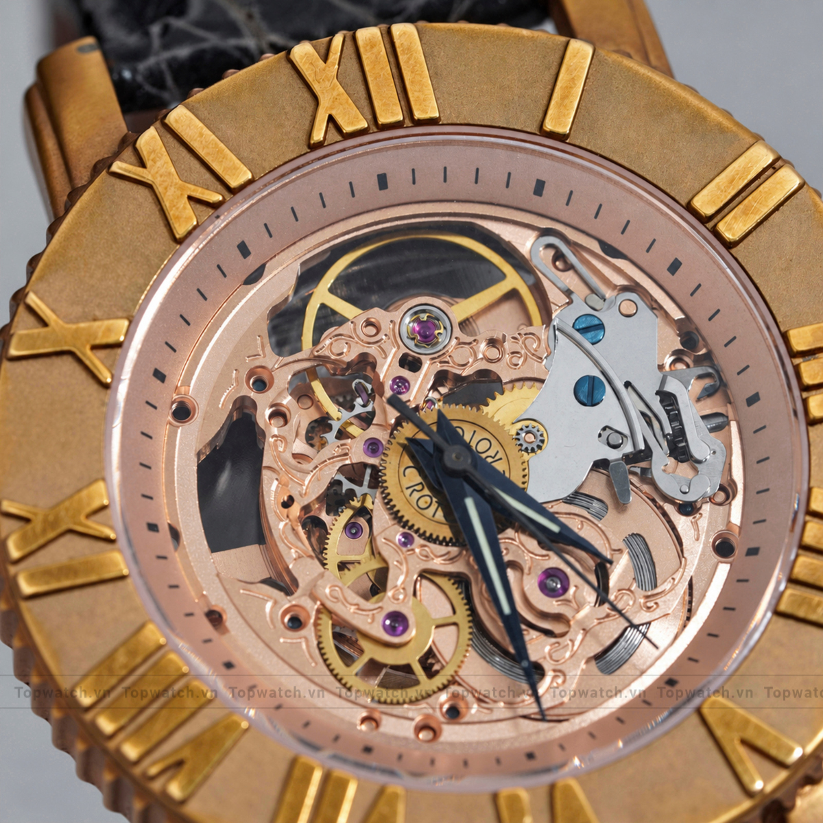 Đồng hồ Croton Automatic Đồng hồ Croton Automatic - Ảnh 2
