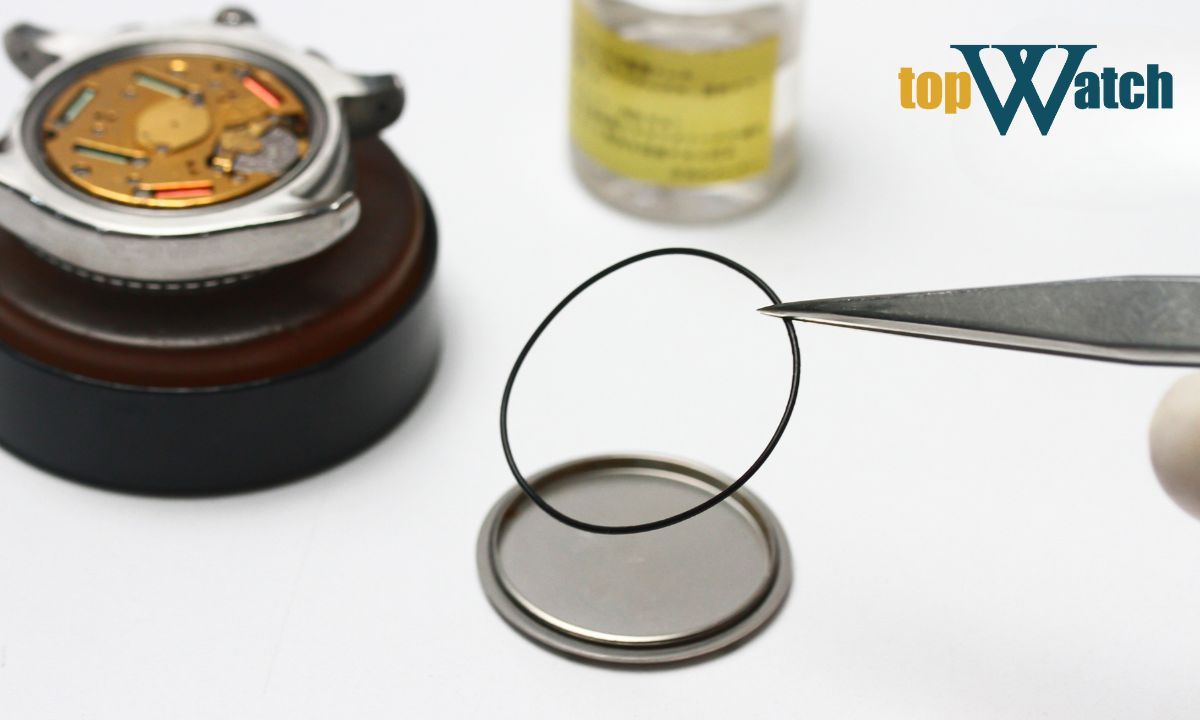 bảo dưỡng ron khi tháo đồng hồ