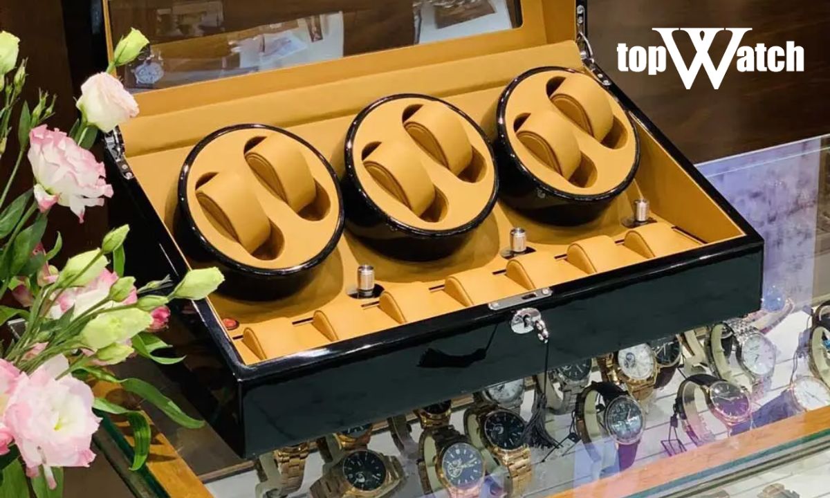 Bật mí cách phân biệt đồng hồ cơ và pin siêu chi tiết hộp xoay đồng hồ cho người nhiều đồng hồ cơ