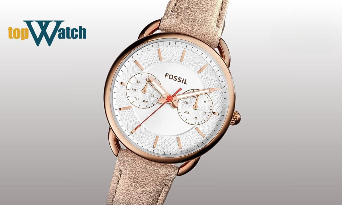 bộ sưu tập fossil tailor