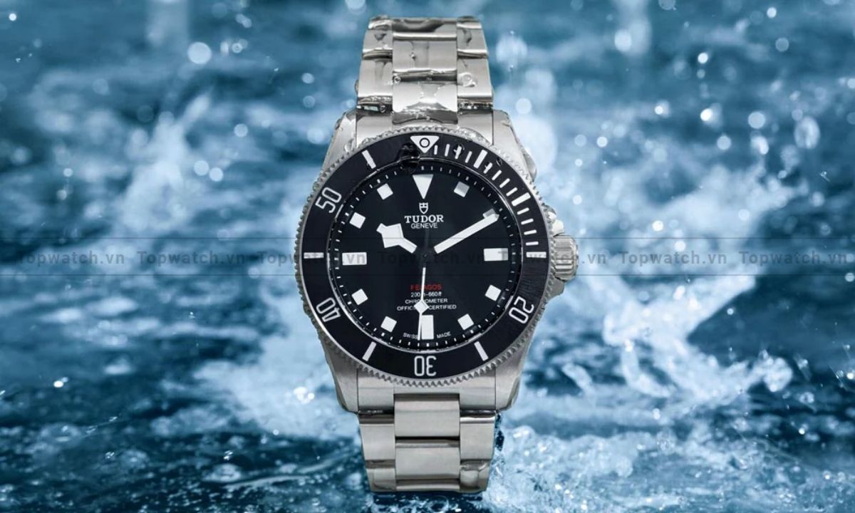 Đồng hồ lặn - Tudor Pelagos 39 
