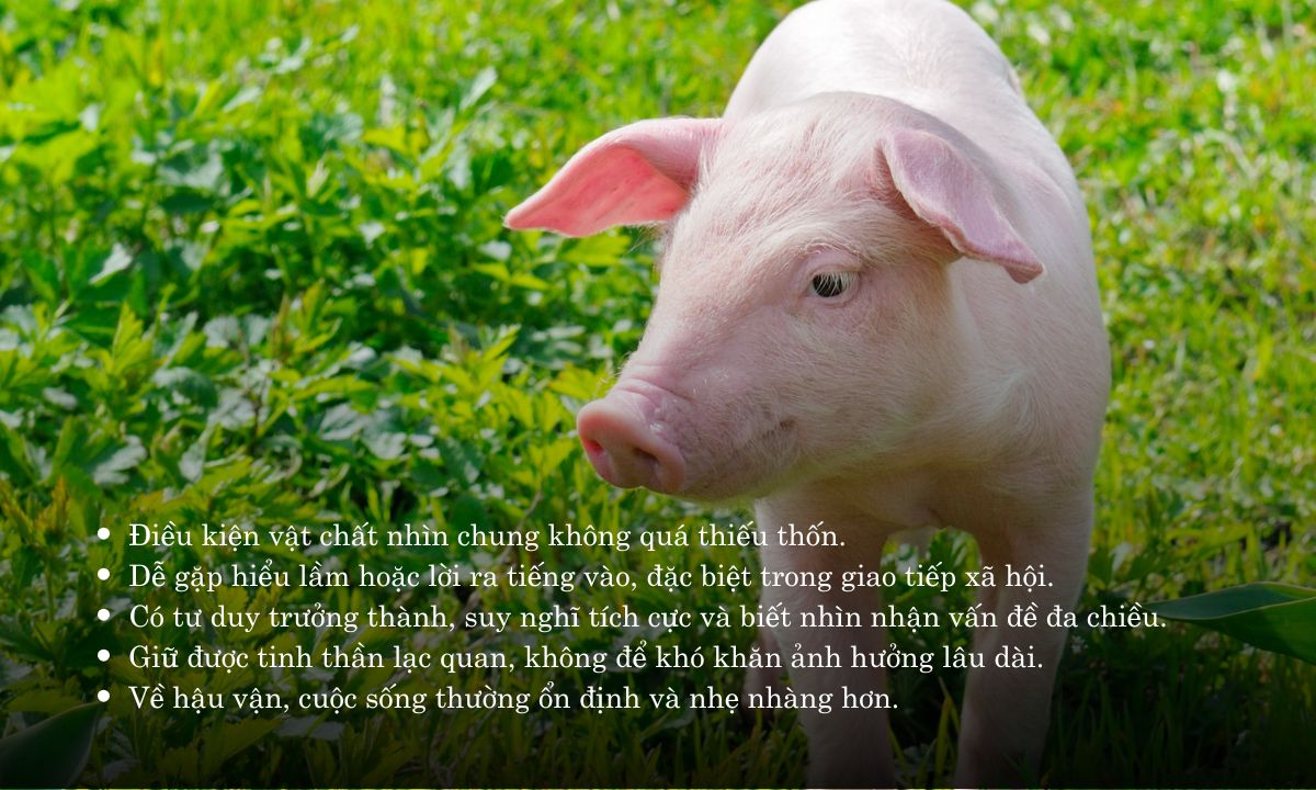 giờ hợi là lúc mấy giờ