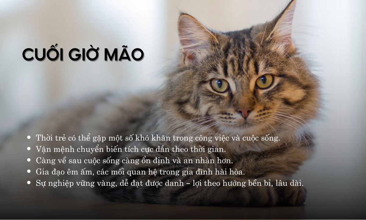 giờ ất mão là mấy giờ