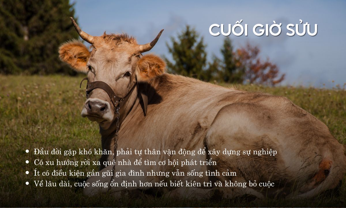 giờ sửu là từ mấy giờ đến mấy giờ