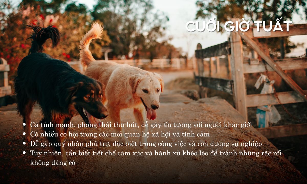 giờ bính tuất là mấy giờ