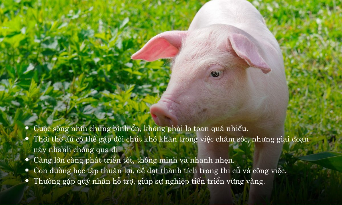 giờ hợi là mấy h