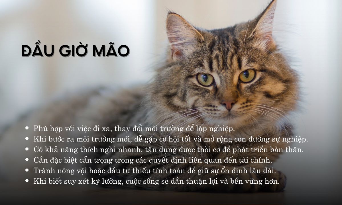 giờ mão là mấy giờ sáng