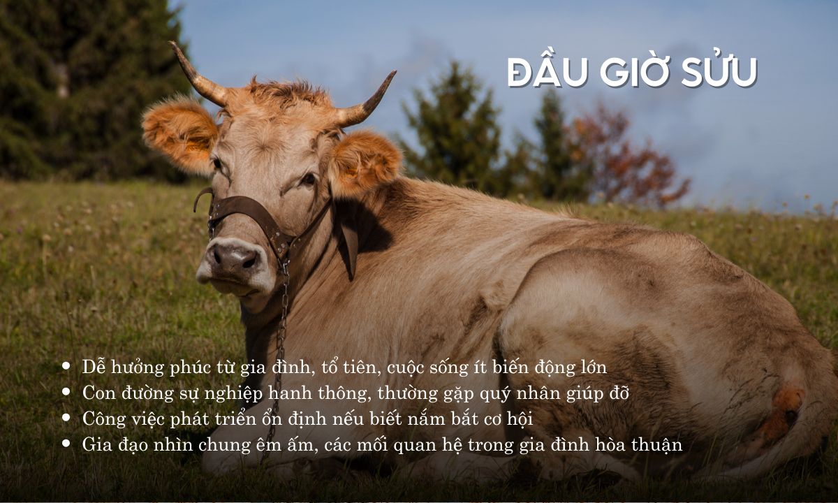 giờ sửu là mấy h