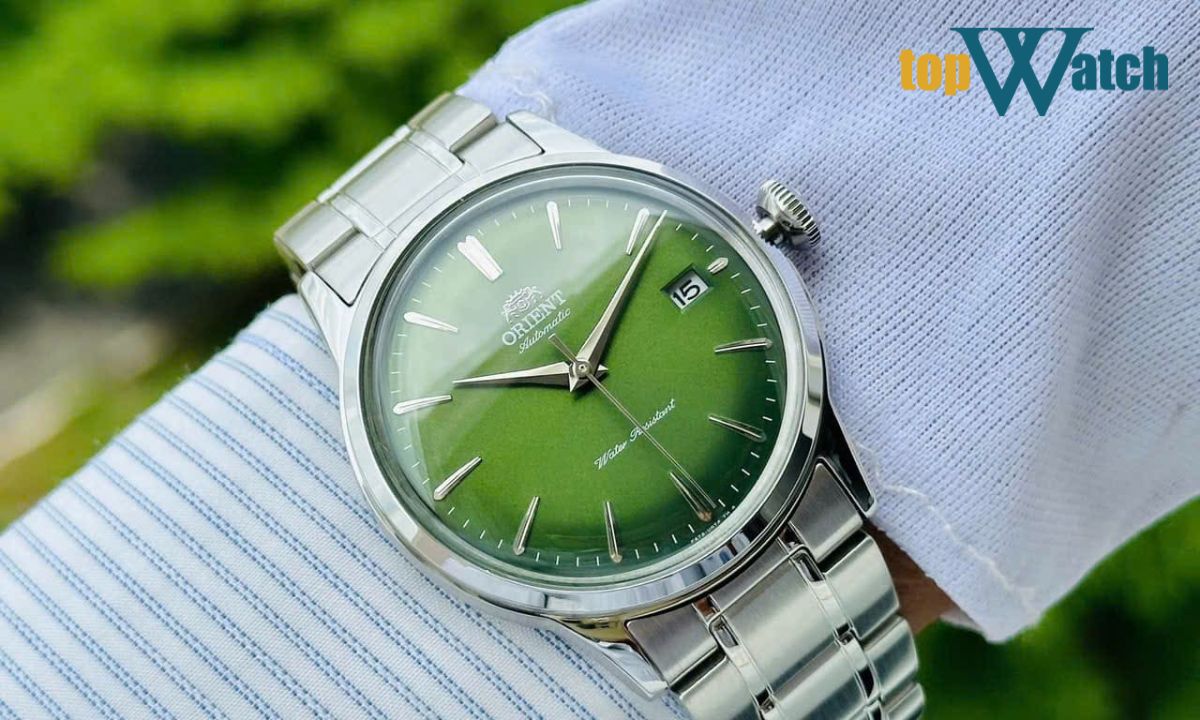 Mệnh Mộc hợp màu gì? Bí quyết phối đồng hồ chuẩn mệnh Mộc cho năm 2026 mệnh mộc hợp màu gì nhất
