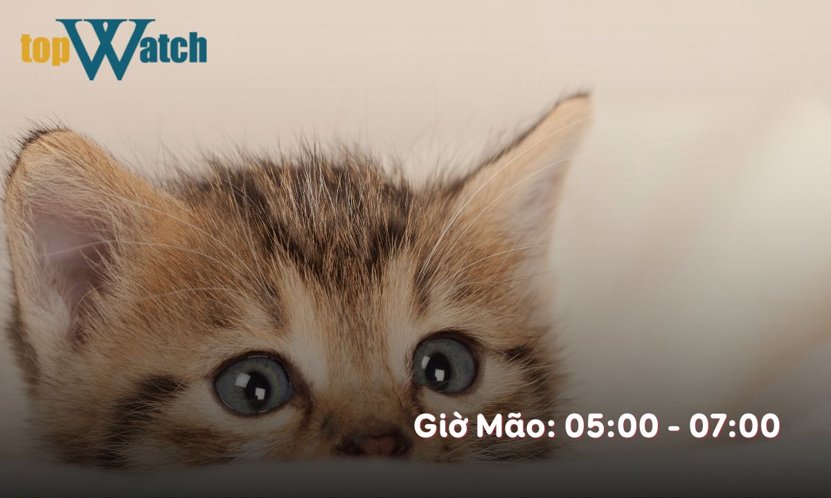 giờ mão là từ mấy giờ đến mấy giờ