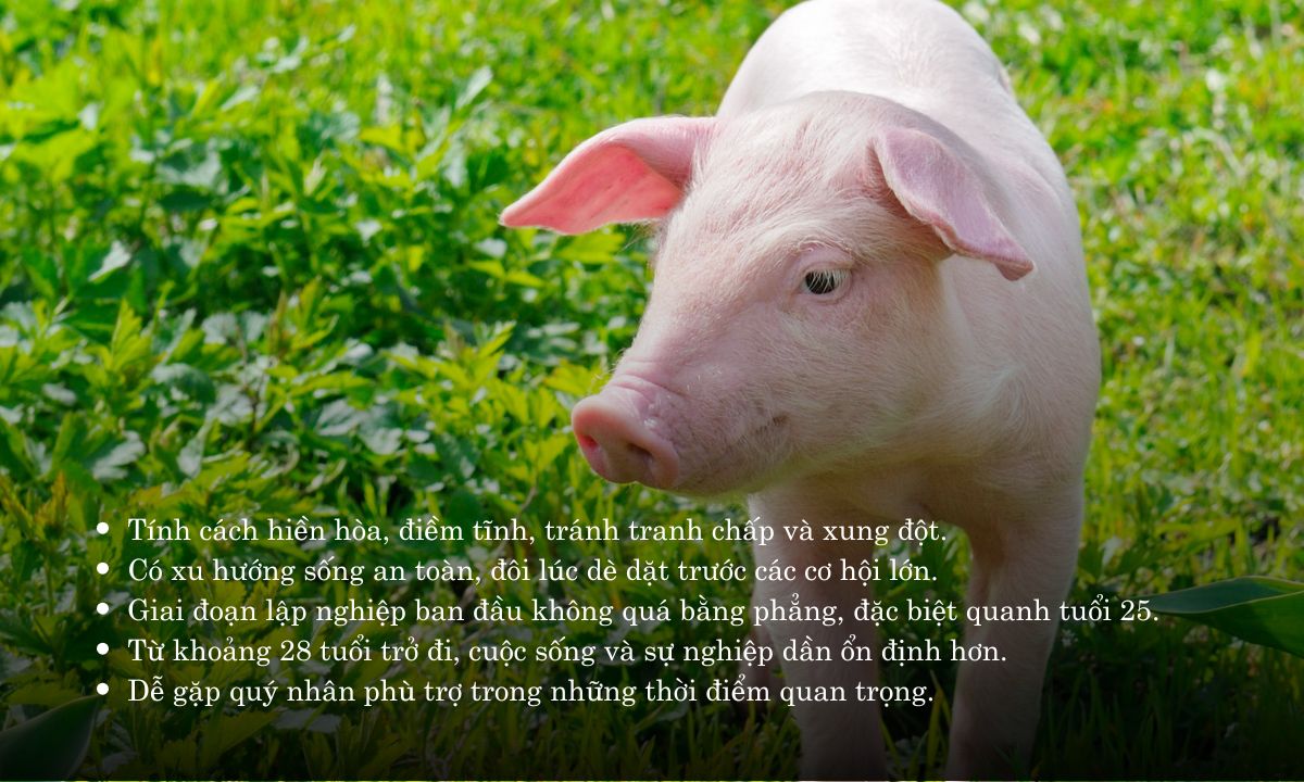 giờ hợi là từ mấy giờ