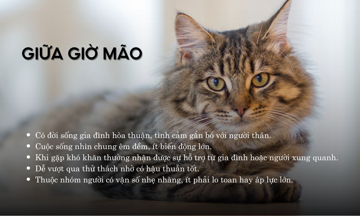 giờ tý sửu mão ngọ thân dậu là mấy giờ