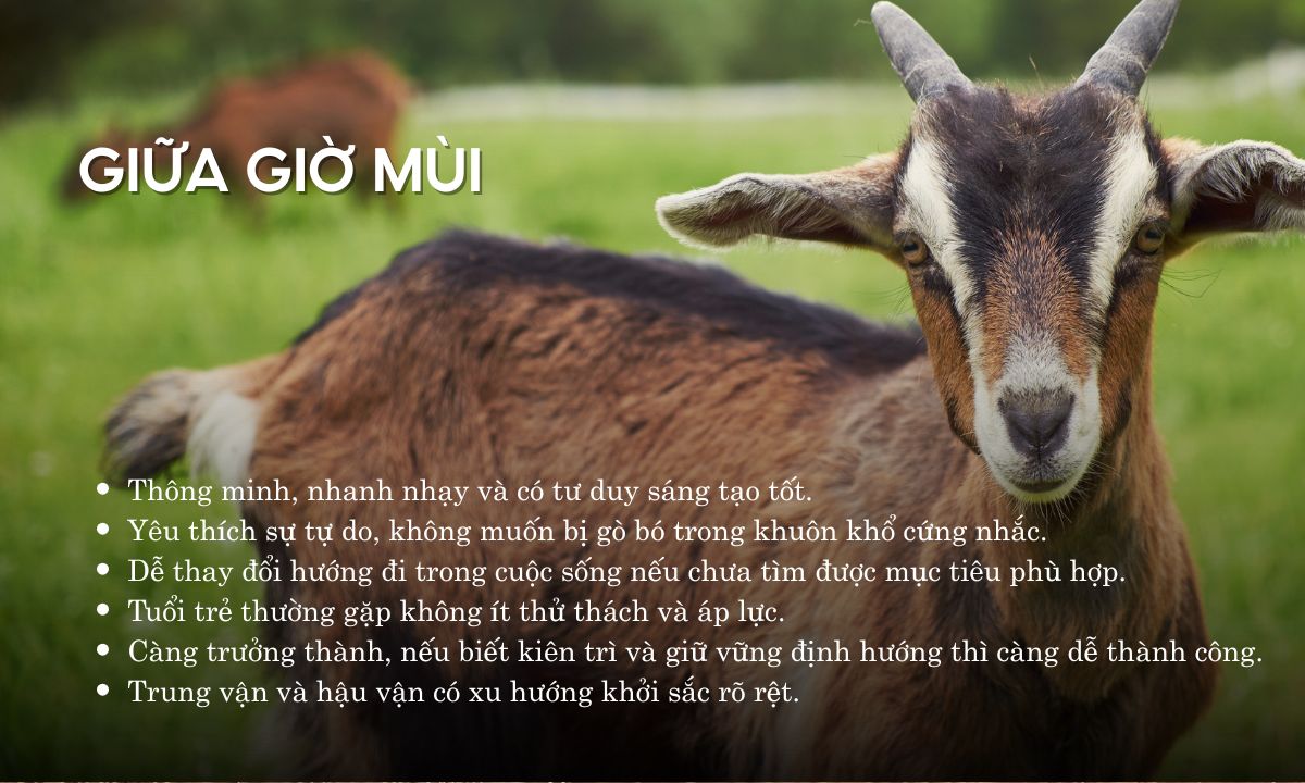 giờ mùi là từ mấy giờ đến mấy giờ