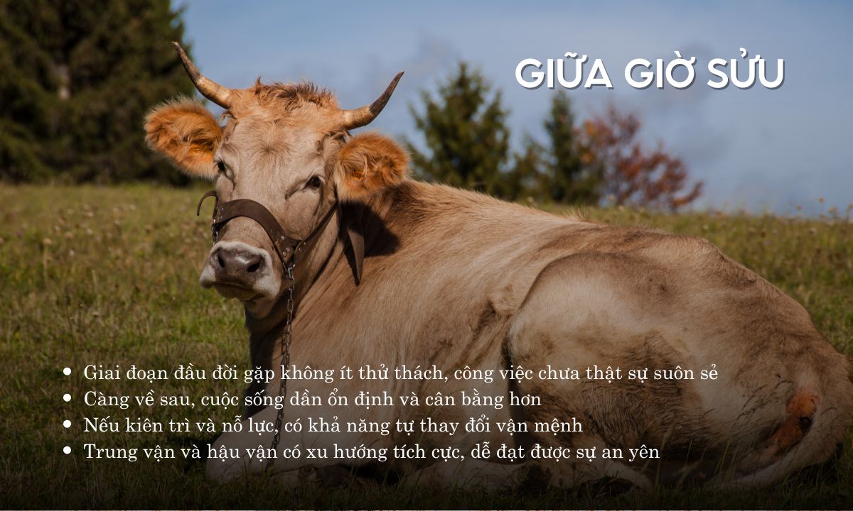 giờ sửu là từ mấy giờ