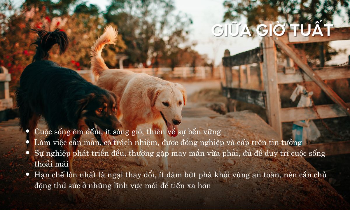 giờ tuất là từ mấy giờ đến mấy giờ