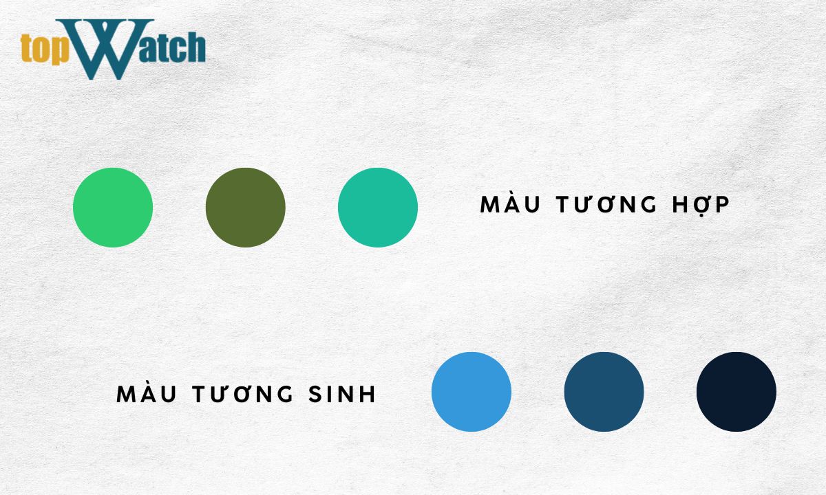 Mệnh Mộc hợp màu gì? Bí quyết phối đồng hồ chuẩn mệnh Mộc cho năm 2026 mệnh mộc hợp với màu gì
