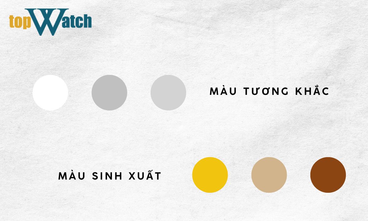 Mệnh Mộc hợp màu gì? Bí quyết phối đồng hồ chuẩn mệnh Mộc cho năm 2026 nữ mệnh mộc hợp màu gì