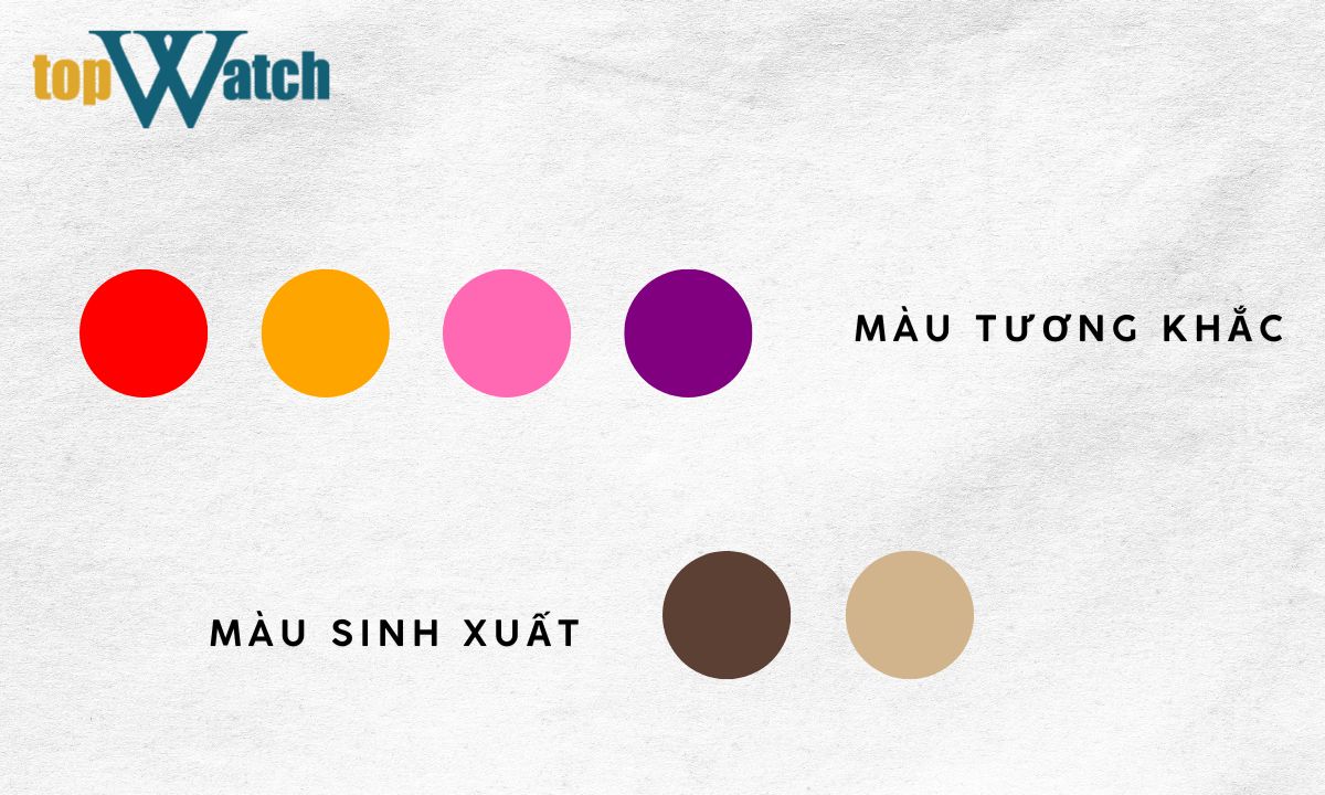 Mệnh Thủy hợp màu gì? Bật mí cách phối đồng hồ cho người mệnh Thủy nữ mệnh thủy hợp màu gì