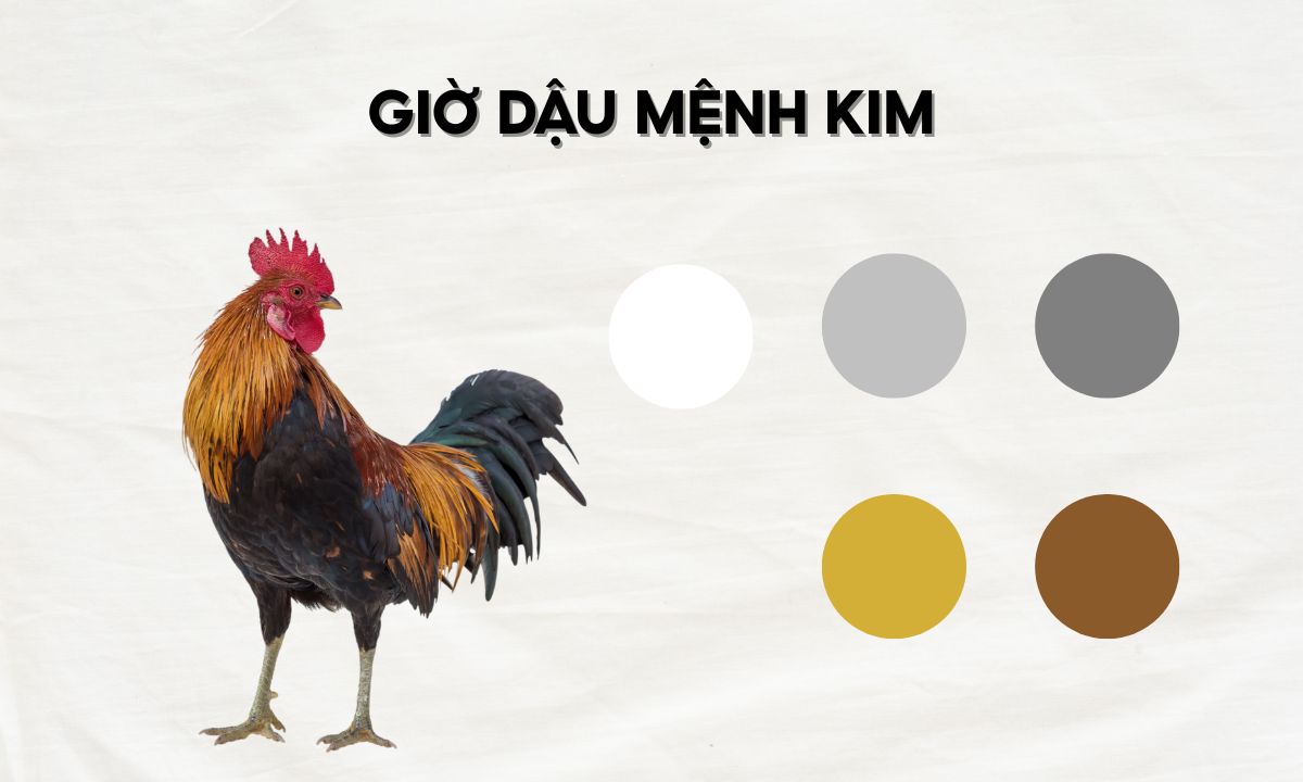 giờ tý sửu mão ngọ thân dậu là mấy giờ