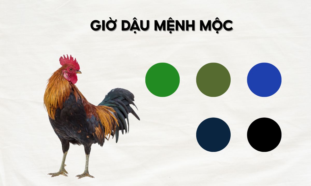 giờ mão ngọ mùi dậu là mấy giờ