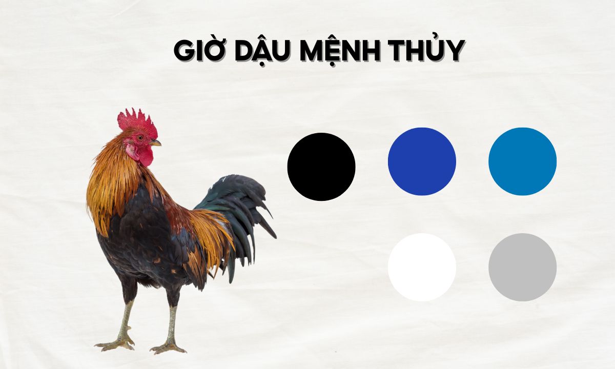 giờ mão ngọ thân dậu là mấy giờ