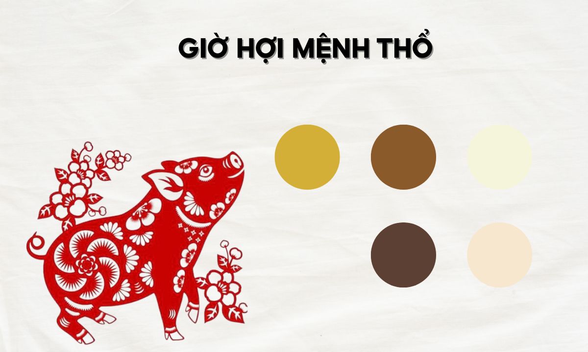 giờ tỵ thân dậu hợi là mấy giờ
