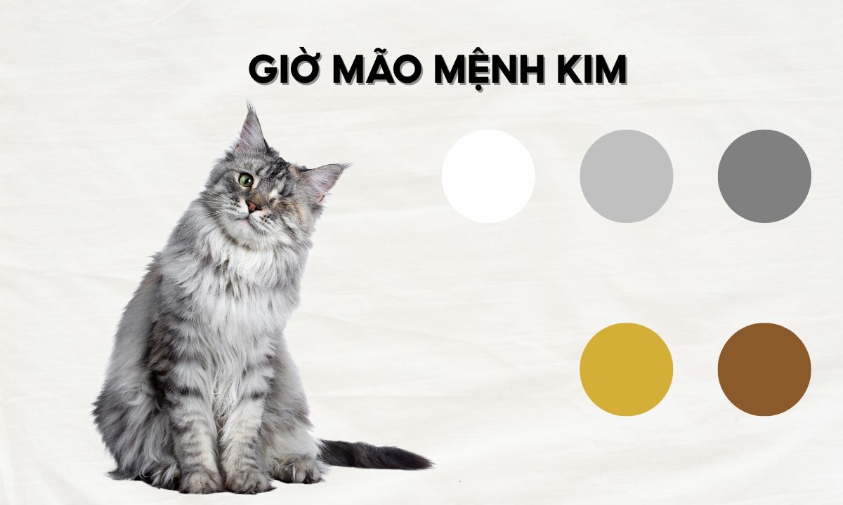 giờ mão ngọ mùi dậu là mấy giờ