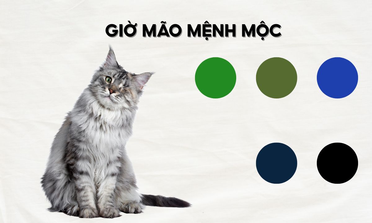 giờ mão ngọ thân dậu là mấy giờ