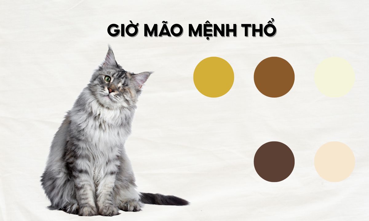 nguoi sinh gio mao menh tho