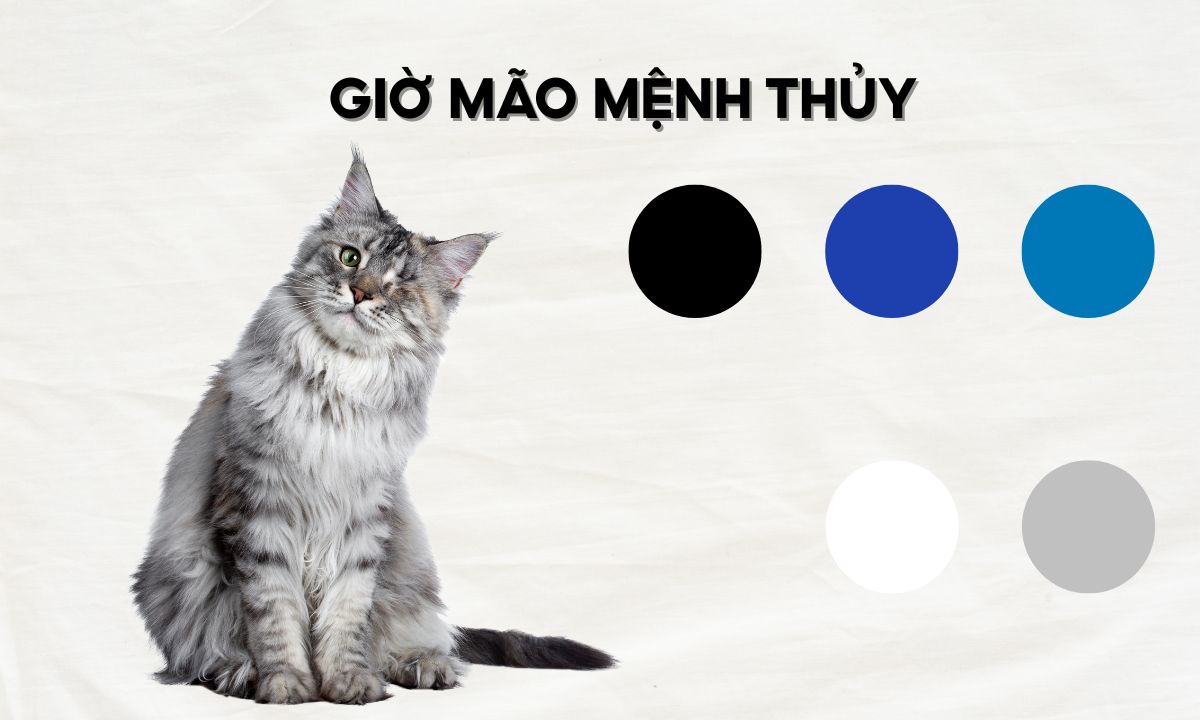 giờ mão ngọ là mấy giờ