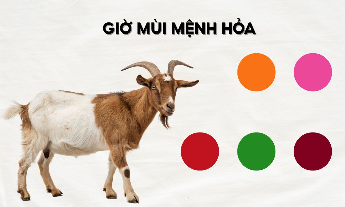 nguoi sinh gio mui menh hoa