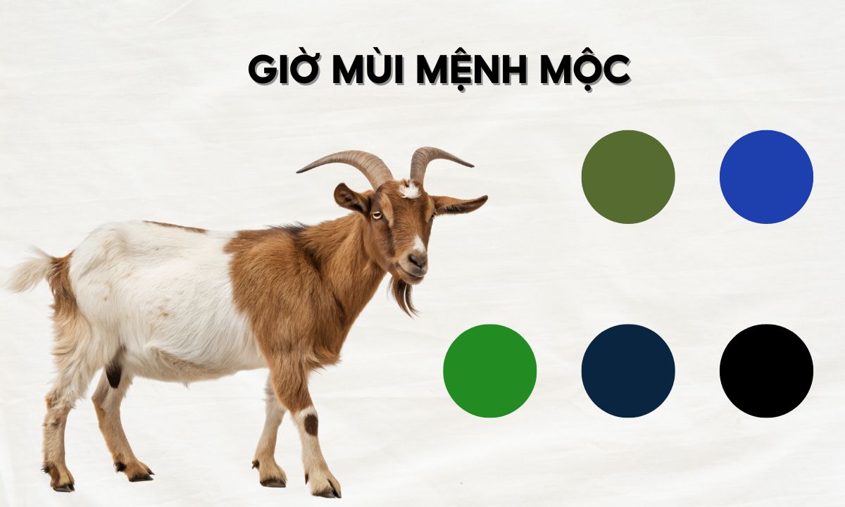 nguoi sinh gio mui menh moc