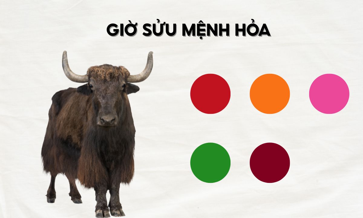 nguoi sinh gio suu menh hoa