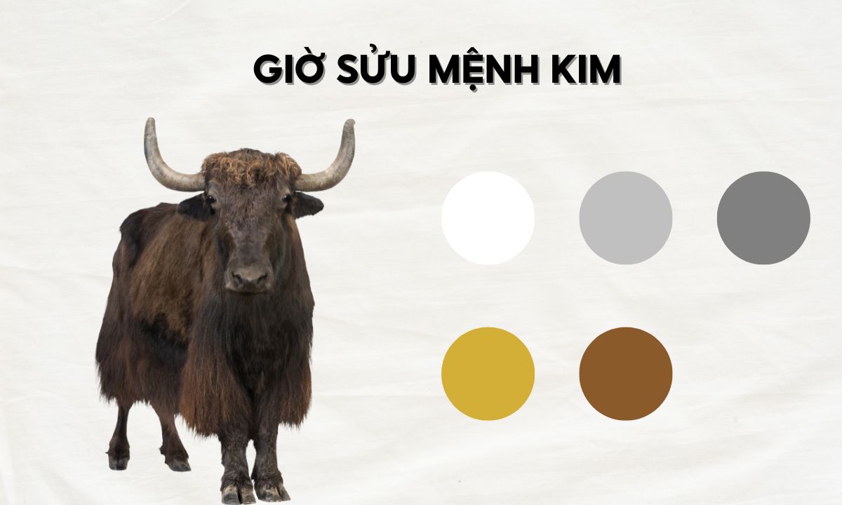 nguoi sinh gio suu menh kim