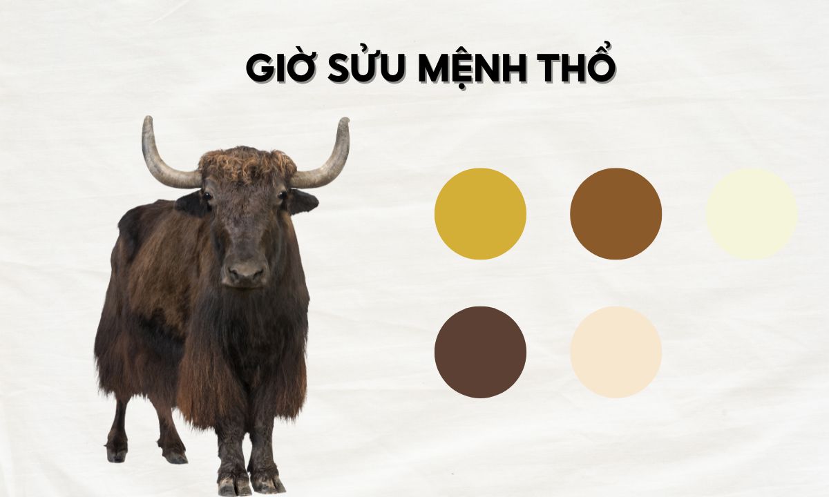 nguoi sinh gio suu menh tho