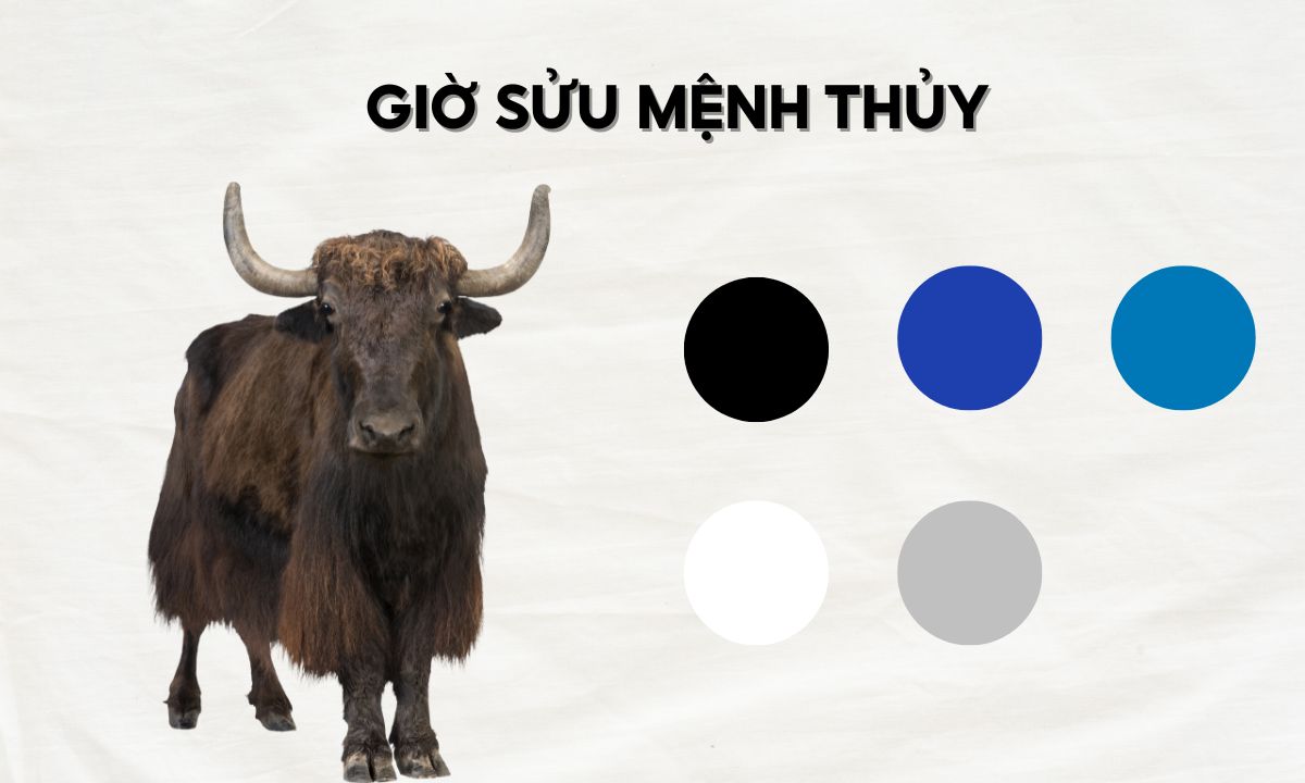nguoi sinh gio suu menh thuy