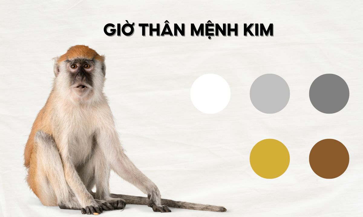 giờ tý sửu mão ngọ thân dậu là mấy giờ