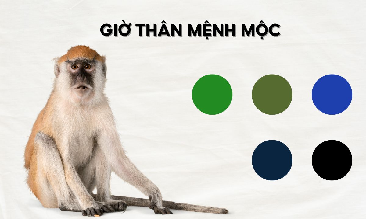 giờ mão ngọ thân dậu là mấy giờ