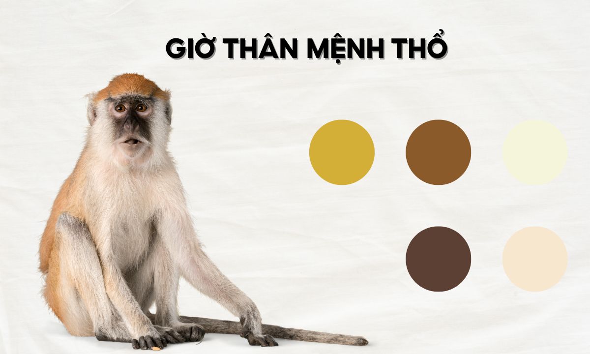 giờ tỵ thân tuất hợi là mấy giờ
