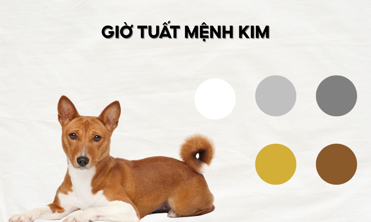 giờ giáp tuất là mấy giờ