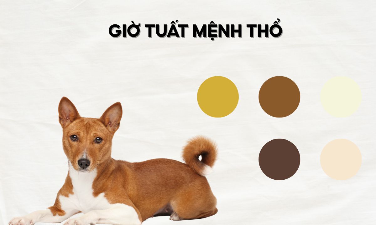 sinh giờ tuất là mấy giờ