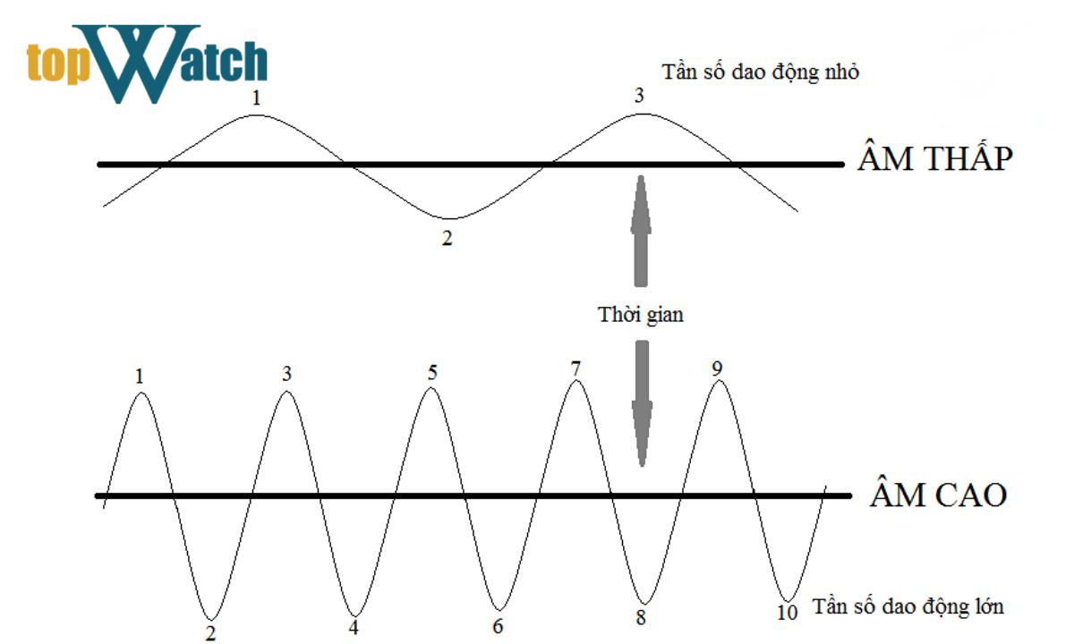 Tần số dao động là gì? Có ảnh hưởng đến độ chính xác của đồng hồ không? tần số dao động là gì
