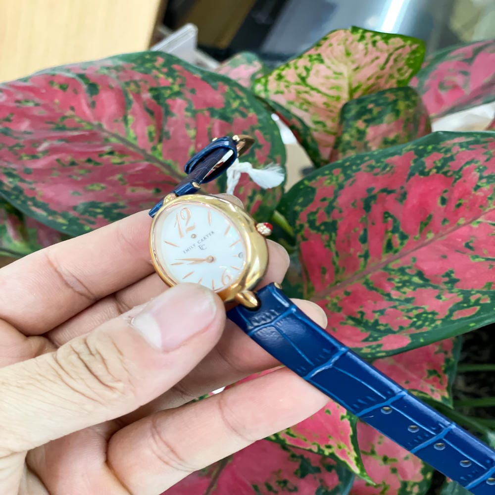 Đồng hồ Emily Carter Nữ ECO38QRR25CBE Dây Da 27x22mm Đồng hồ Emily Carter Nữ ECO38QRR25CBE Dây Da 27x22mm - Ảnh 4