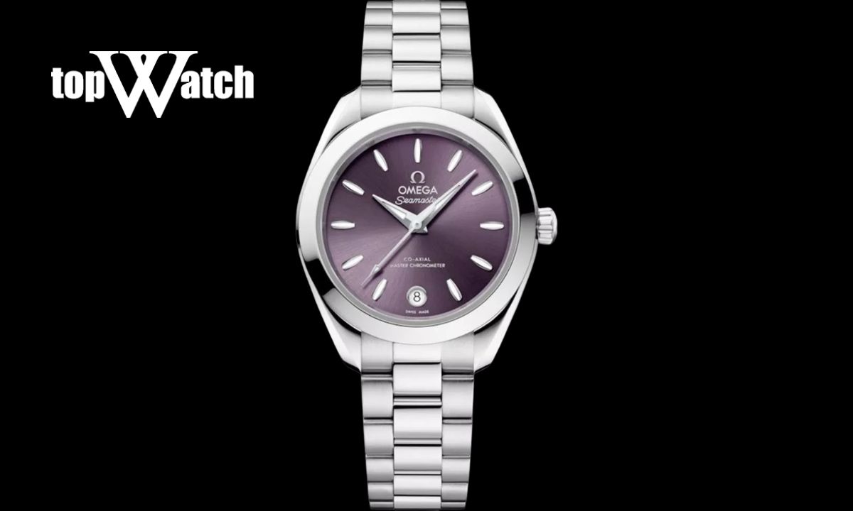 Đồng hồ Omega Seamaster 220.10.30.20.10.002 Aqua Terra 150M 30mm