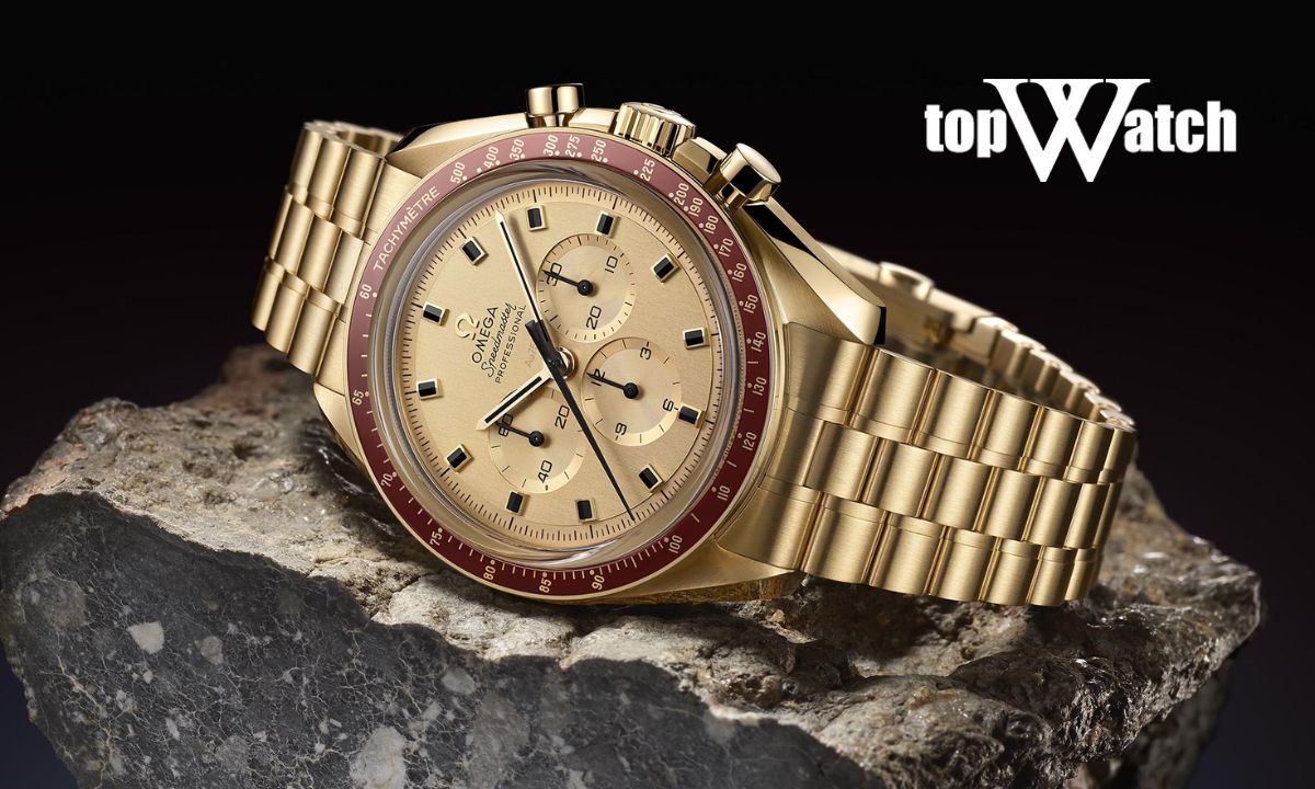 Đồng hồ Omega Speedmaster Moonwatch 310.60.42.50.99.001